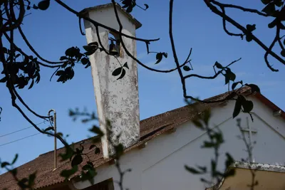 DSC_9011 (Large).JPG